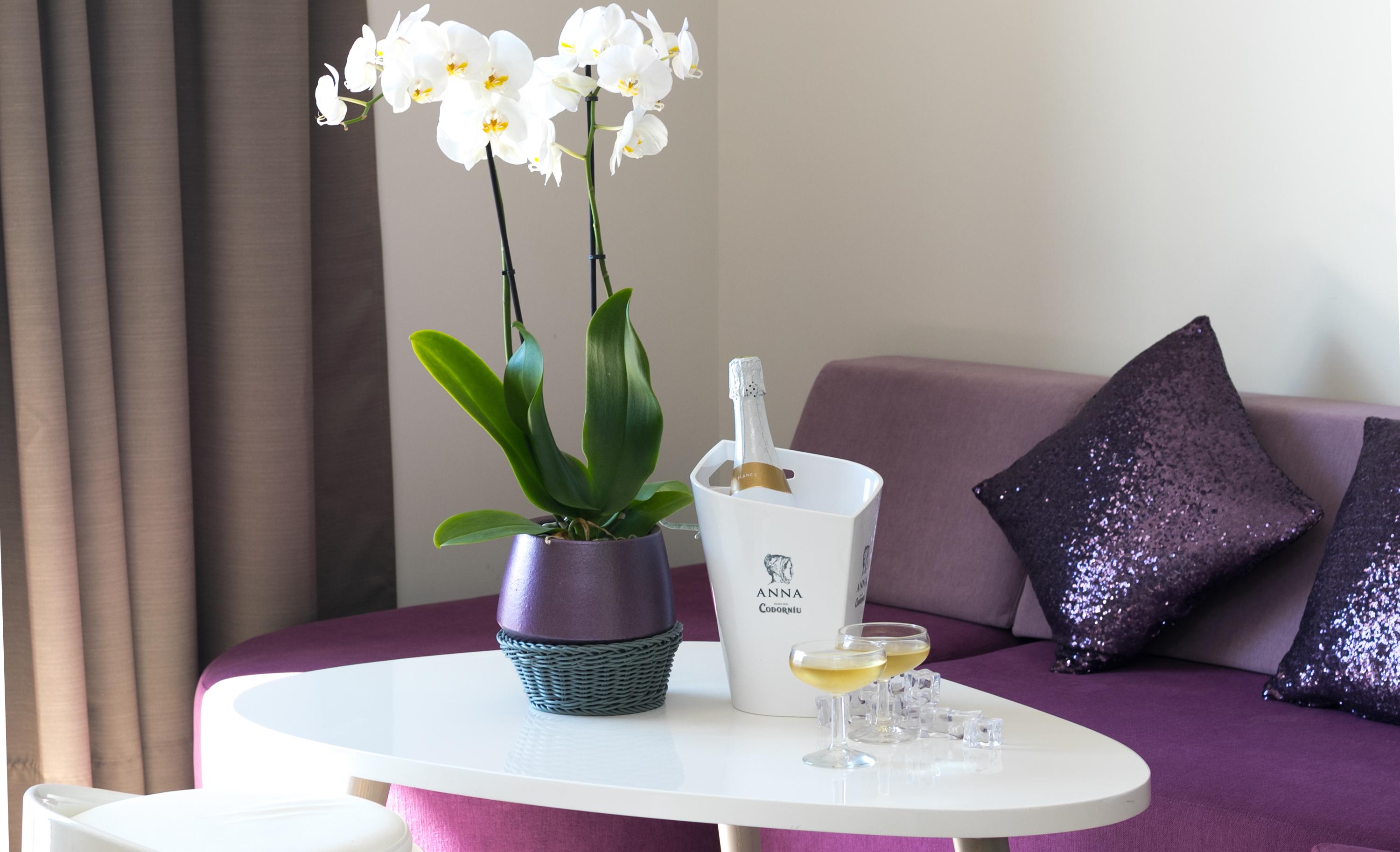 The Purple Hotel - Adults Only سان أنطونيو المظهر الخارجي الصورة